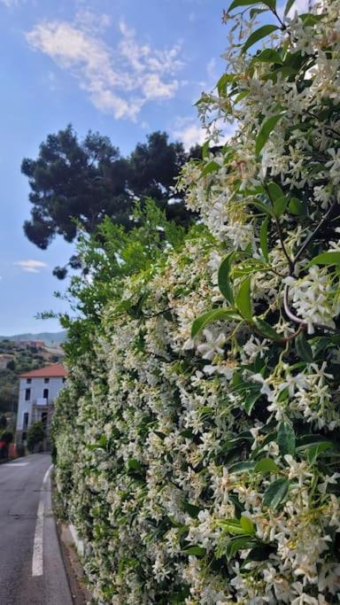 Vista Bella House Lejlighed Sanremo Eksteriør billede